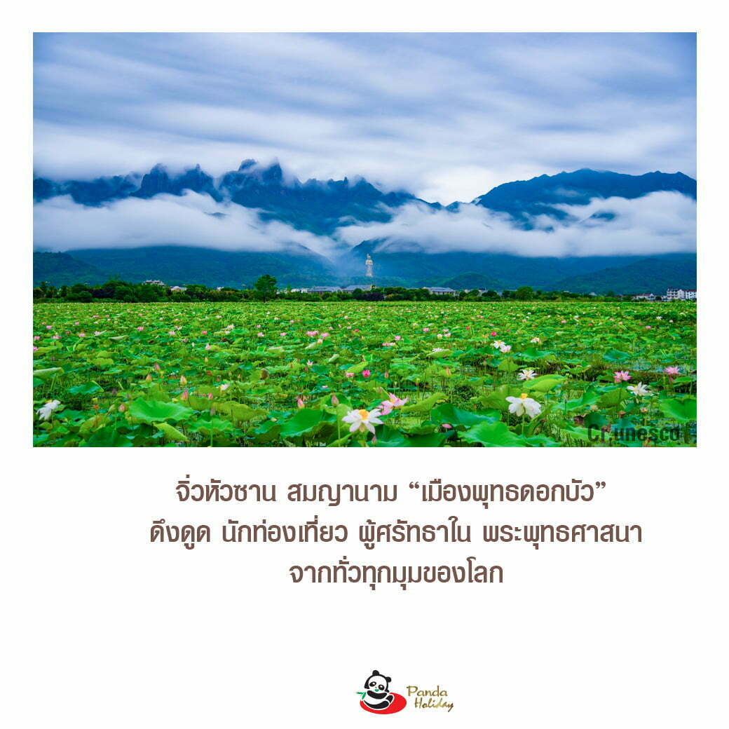 เที่ยว จิ่วหัวซาน pantip